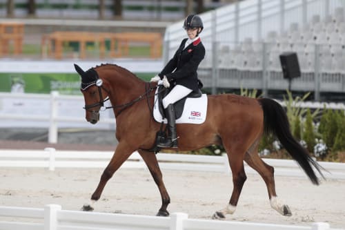 Sophie riding Janeiro 6 at the 2014 World Equestrian Games